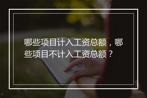 哪些项目计入工资总额，哪些项目不计入工资总额？