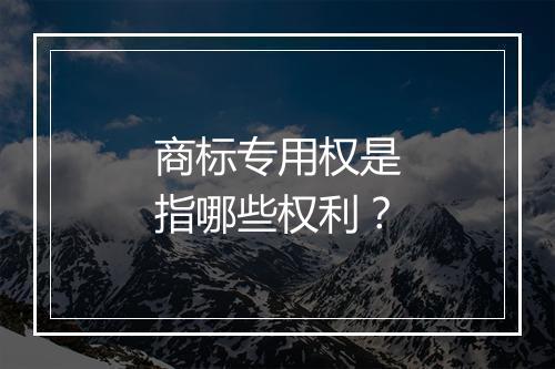 商标专用权是指哪些权利？