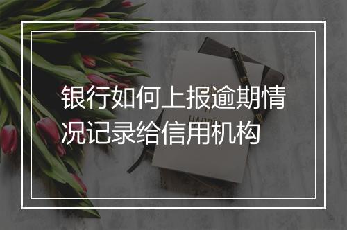 银行如何上报逾期情况记录给信用机构