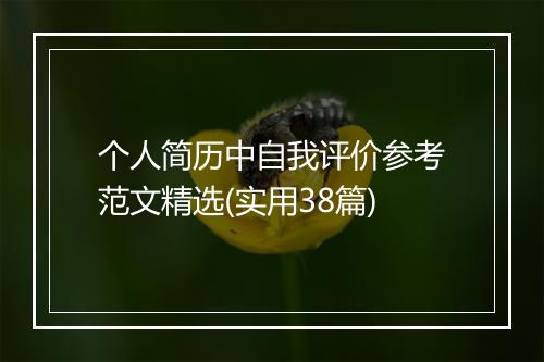 个人简历中自我评价参考范文精选(实用38篇)