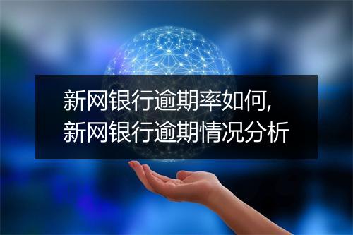 新网银行逾期率如何,新网银行逾期情况分析