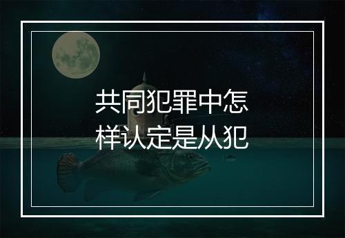 共同犯罪中怎样认定是从犯
