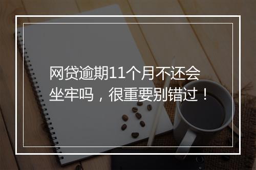 网贷逾期11个月不还会坐牢吗，很重要别错过！