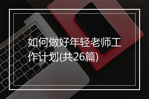 如何做好年轻老师工作计划(共26篇)