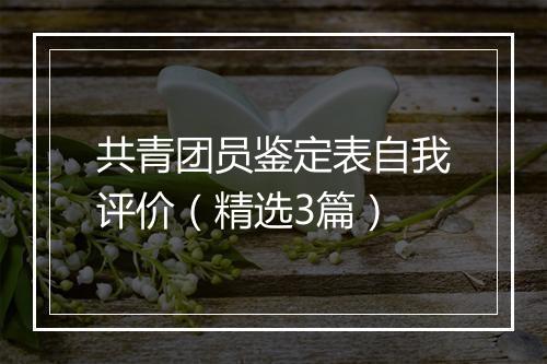 共青团员鉴定表自我评价（精选3篇）