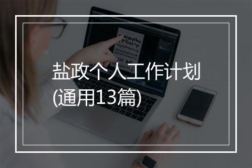 盐政个人工作计划(通用13篇)