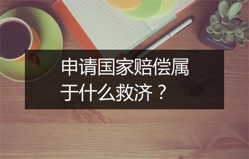 申请国家赔偿属于什么救济？