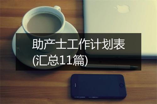 助产士工作计划表(汇总11篇)