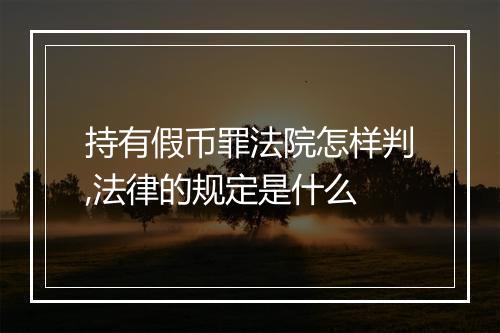 持有假币罪法院怎样判,法律的规定是什么