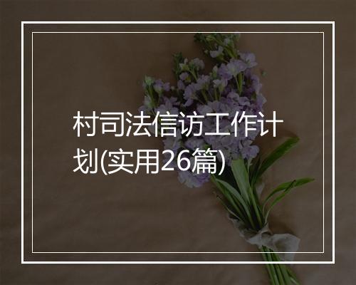村司法信访工作计划(实用26篇)