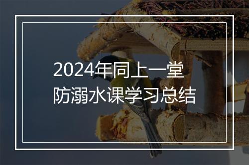 2024年同上一堂防溺水课学习总结