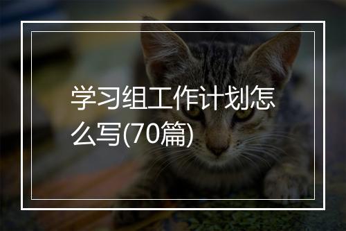 学习组工作计划怎么写(70篇)