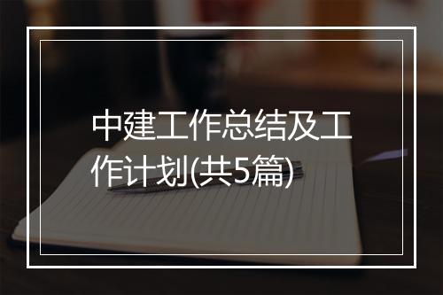 中建工作总结及工作计划(共5篇)