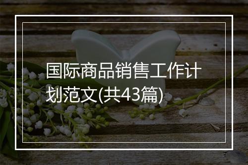 国际商品销售工作计划范文(共43篇)