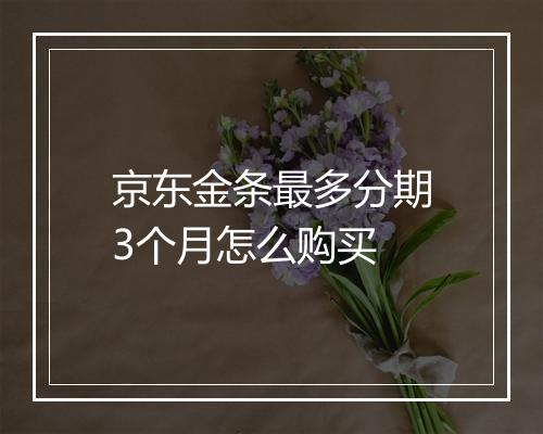 京东金条最多分期3个月怎么购买