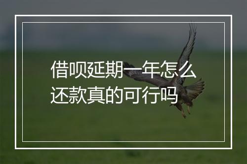 借呗延期一年怎么还款真的可行吗