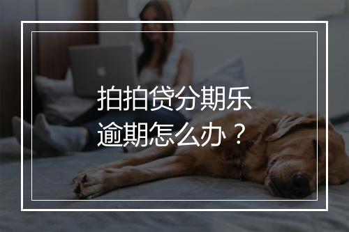 拍拍贷分期乐逾期怎么办？