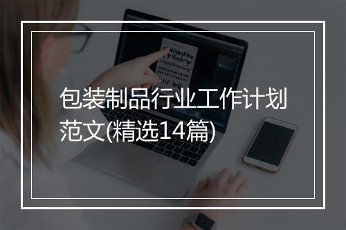 包装制品行业工作计划范文(精选14篇)