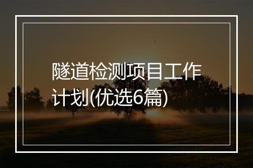 隧道检测项目工作计划(优选6篇)