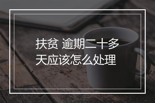 扶贫 逾期二十多天应该怎么处理