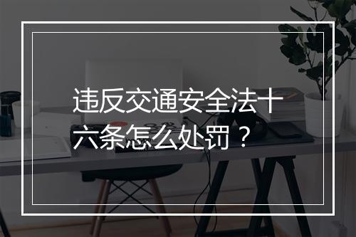 违反交通安全法十六条怎么处罚？