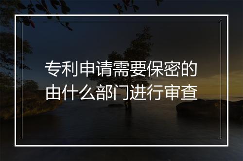 专利申请需要保密的由什么部门进行审查