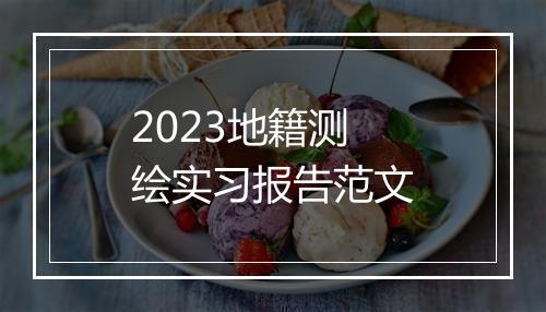 2023地籍测绘实习报告范文