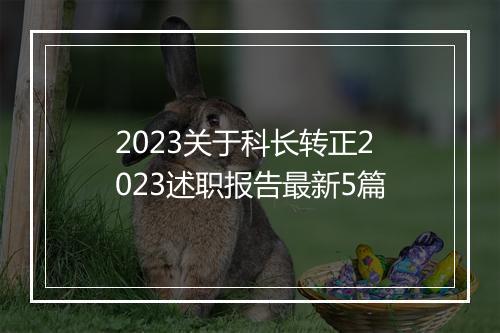 2023关于科长转正2023述职报告最新5篇