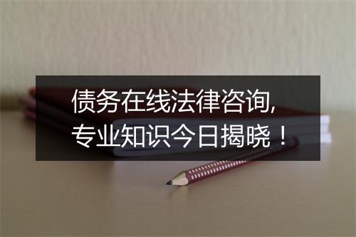 债务在线法律咨询,专业知识今日揭晓！