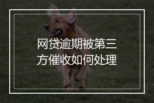 网贷逾期被第三方催收如何处理