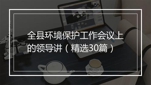 全县环境保护工作会议上的领导讲（精选30篇）