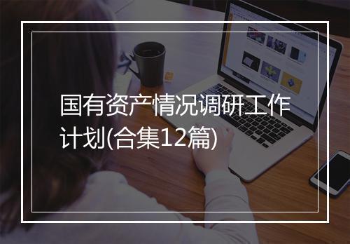 国有资产情况调研工作计划(合集12篇)