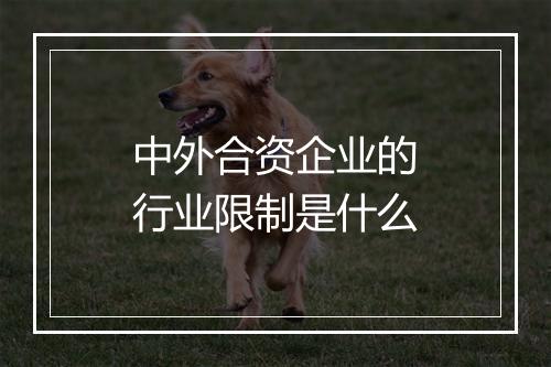中外合资企业的行业限制是什么