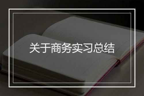 关于商务实习总结