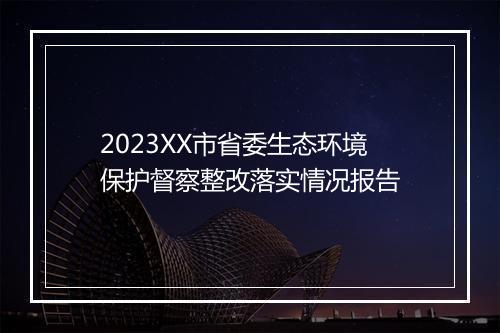 2023XX市省委生态环境保护督察整改落实情况报告
