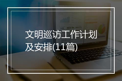 文明巡访工作计划及安排(11篇)