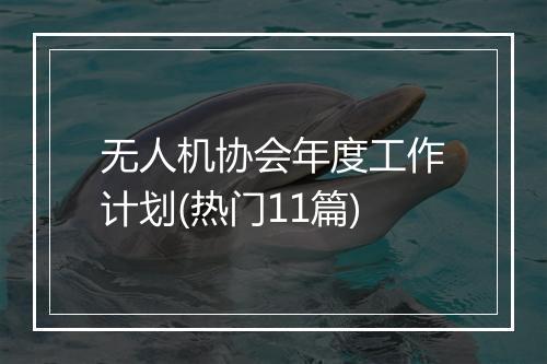 无人机协会年度工作计划(热门11篇)