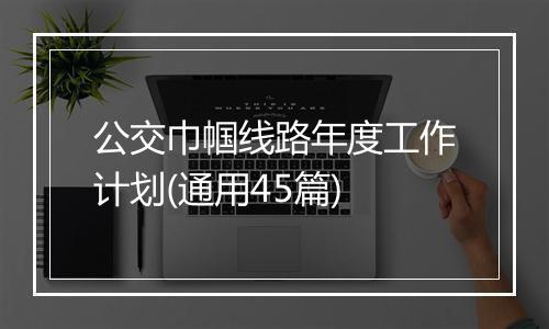 公交巾帼线路年度工作计划(通用45篇)