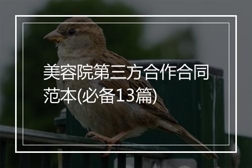 美容院第三方合作合同范本(必备13篇)
