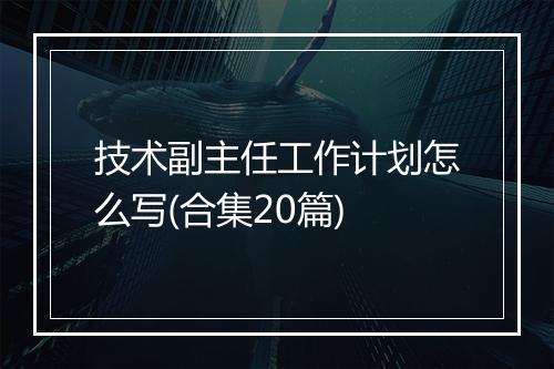 技术副主任工作计划怎么写(合集20篇)