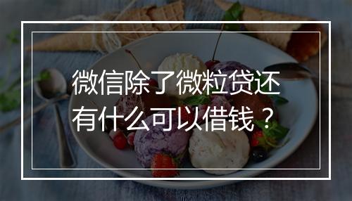 微信除了微粒贷还有什么可以借钱？