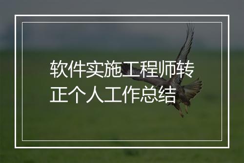 软件实施工程师转正个人工作总结