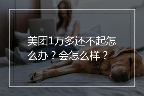 美团1万多还不起怎么办？会怎么样？