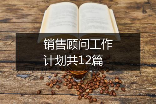 销售顾问工作计划共12篇