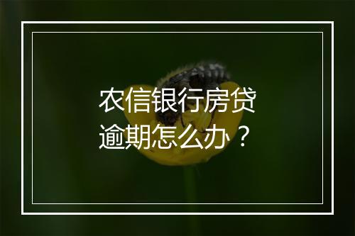 农信银行房贷逾期怎么办？