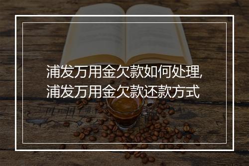 浦发万用金欠款如何处理,浦发万用金欠款还款方式
