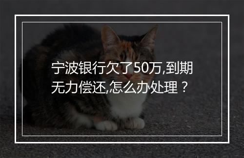 宁波银行欠了50万,到期无力偿还,怎么办处理？