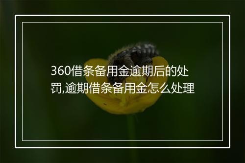 360借条备用金逾期后的处罚,逾期借条备用金怎么处理