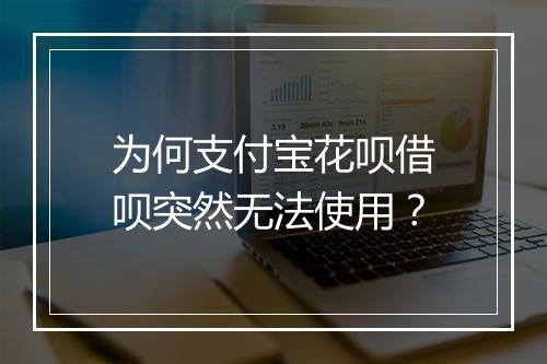 为何支付宝花呗借呗突然无法使用？