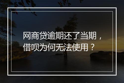 网商贷逾期还了当期，借呗为何无法使用？